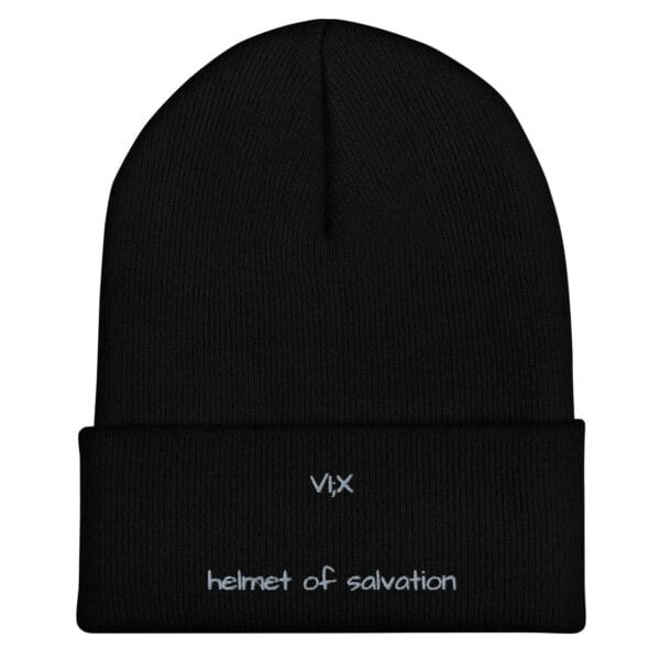 VI;X Beanies