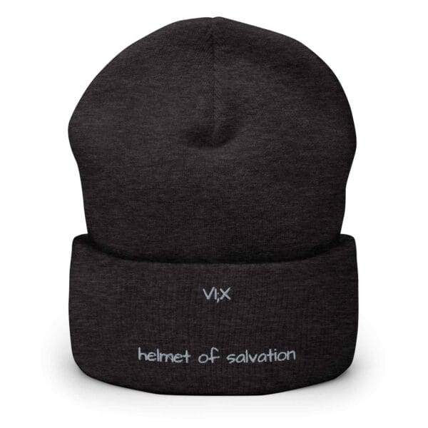VI;X Beanies