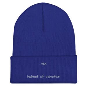 VI;X Beanie - Helmet Of Salvation - Image 10