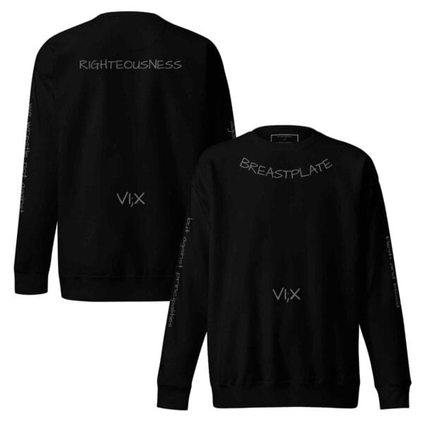 vi;x sweatshirt