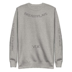 VI;X Sweatshirt - Breastplate of Righteousness - Image 9
