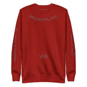 VI;X Sweatshirt - Breastplate of Righteousness - Image 10